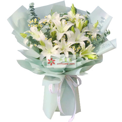 洛阳6支白色多头百合，温馨的祝福